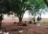 Homem morre após surto e ser baleado durante intervenção policial em aldeia de Dourados