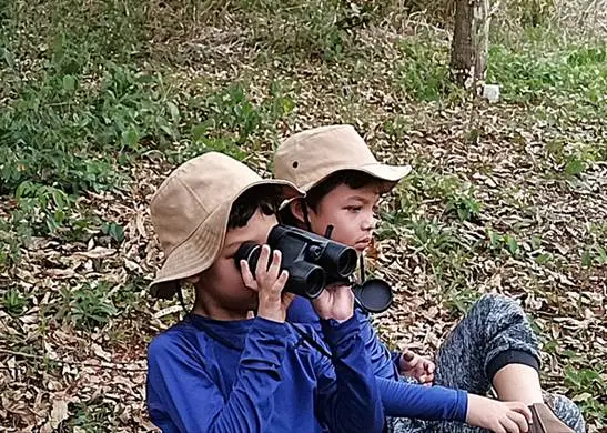 BIG DAY: Dia de observação de aves em Dourados BIG DAY: Dia de observação de aves em Dourados