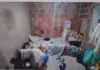 Idosa de 83 anos morre após ser atacada e estuprada em casa