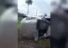 Jovem sul-mato-grossense, de 24 anos, morre em acidente em rodovia paraguaia