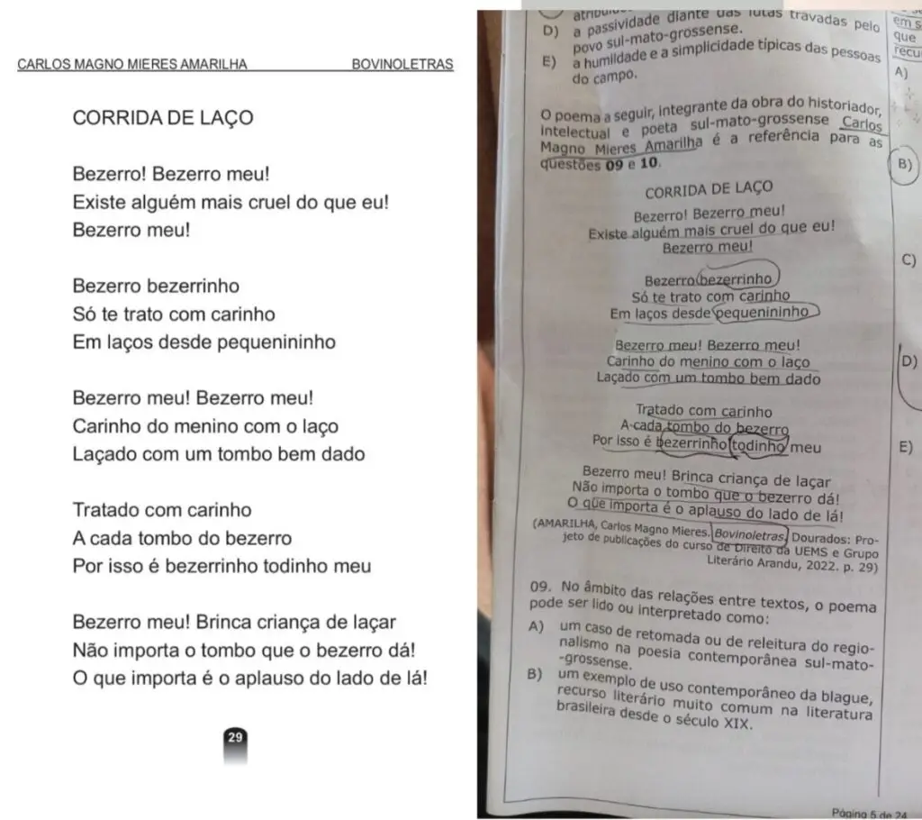 UEMS exalta a identidade sul-mato-grossense ao cobrar obra do livro 'Bovinoletras' no vestibular