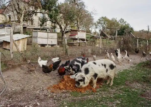 'O que os olhos não veem': fotógrafa francesa revela crenças e memórias em MS 'O que os olhos não veem': fotógrafa francesa revela crenças e memórias em MS