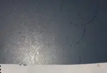 'Processo administrativo número 54290.00073/2005-12', por José Tibiriçá Martins Ferreira