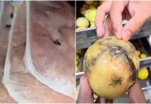 Insetos perto das embalagens, alimentos estragados e sujeira são encontrados em dois supermercados