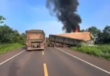 Delegado quebra vidro com disparo e salva caminhoneiro em acidente na BR-262