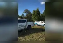 MS: homem sai para caçar e é encontrado morto no dia seguinte em propriedade rural