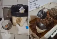 Restaurante com larvas, baratas e alimentos irregulares é interditado