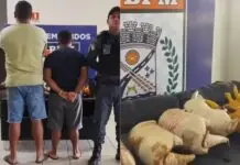 Homem é preso após ser flagrado transportando tatus abatidos em uma rodovia