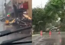 Árvores caem sobre carros e placas são arrancadas durante temporal na fronteira