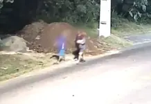 Adolescente é assassinada em crime envolvendo triângulo amoroso 