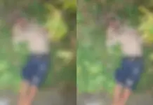 Corpo de homem morto com seis tiros é encontrado