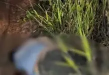 Jovem é sequestrado por quadrilha e morto a tiros 