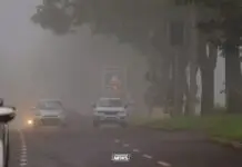 MS: Com previsão de geada, saiba como ficam as temperaturas 'geladas' desta semana