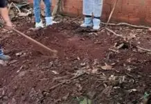 Filho é preso suspeito de matar, esquartejar e enterrar pai no quintal
