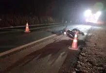 Motociclista morre após queda seguida de atropelamento em rodovia