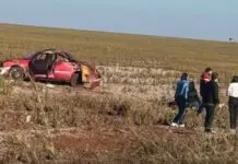 MS-386: mulher morre após ser lançada para fora de carro durante capotamento