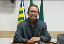 Vereador morre após ser atacado por enxame de abelhas