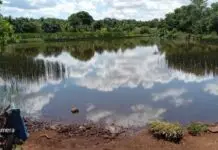 Homem morre hoje afogado em lagoa entre Dourados e o distrito de Itahum