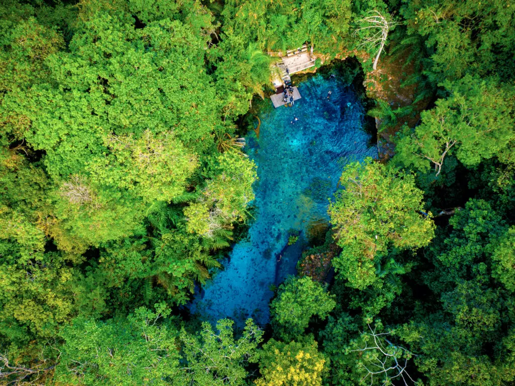 Bonito é tendência de viagem do Skyscanner para 2027, com a Nascente Azul em destaque Bonito é tendência de viagem do Skyscanner para 2027, com a Nascente Azul em destaque