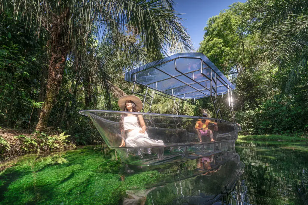 Nascentes da Palmeirinha: paraíso submerso nas águas de Bonito/MS será aberto ao público