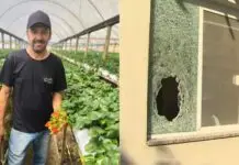 'Doía ouvir que meu marido havia recebido a polícia a tiros', diz esposa de agricultor morto; 7 PMs foram denunciados