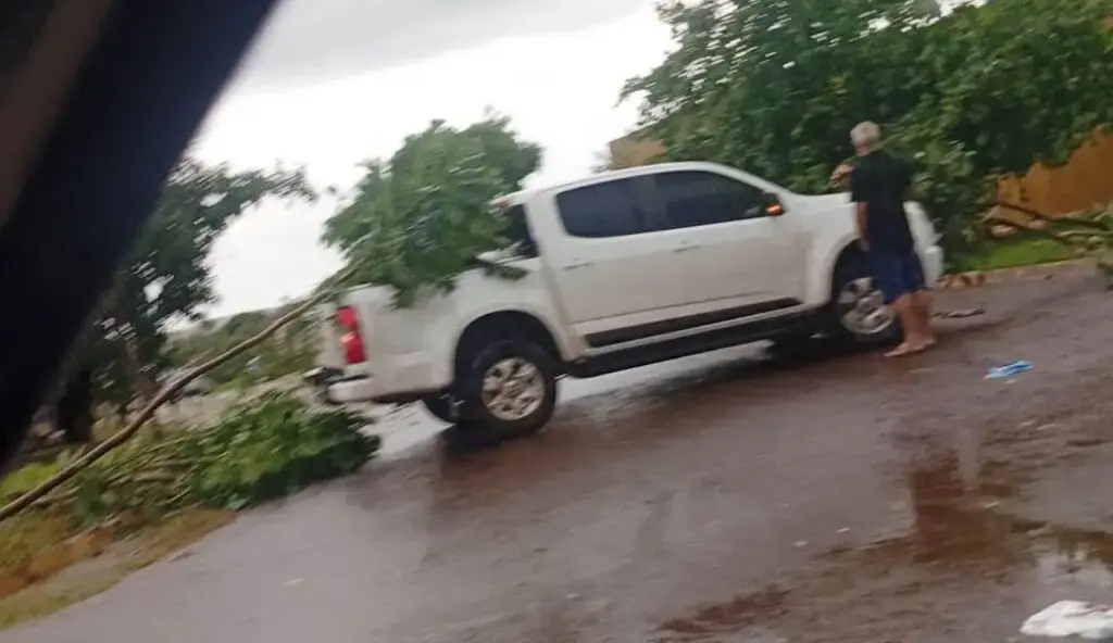 Amambai: tempestade derruba árvores, destelha imóveis e deixa rastro de destruição Amambai: tempestade derruba árvores, destelha imóveis e deixa rastro de destruição
